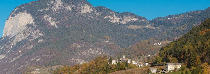 Weingut Steinhaus