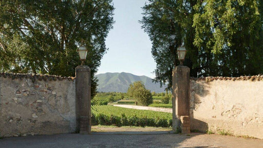 Berlucchi '61: the line that celebrates the excellence of Franciacorta