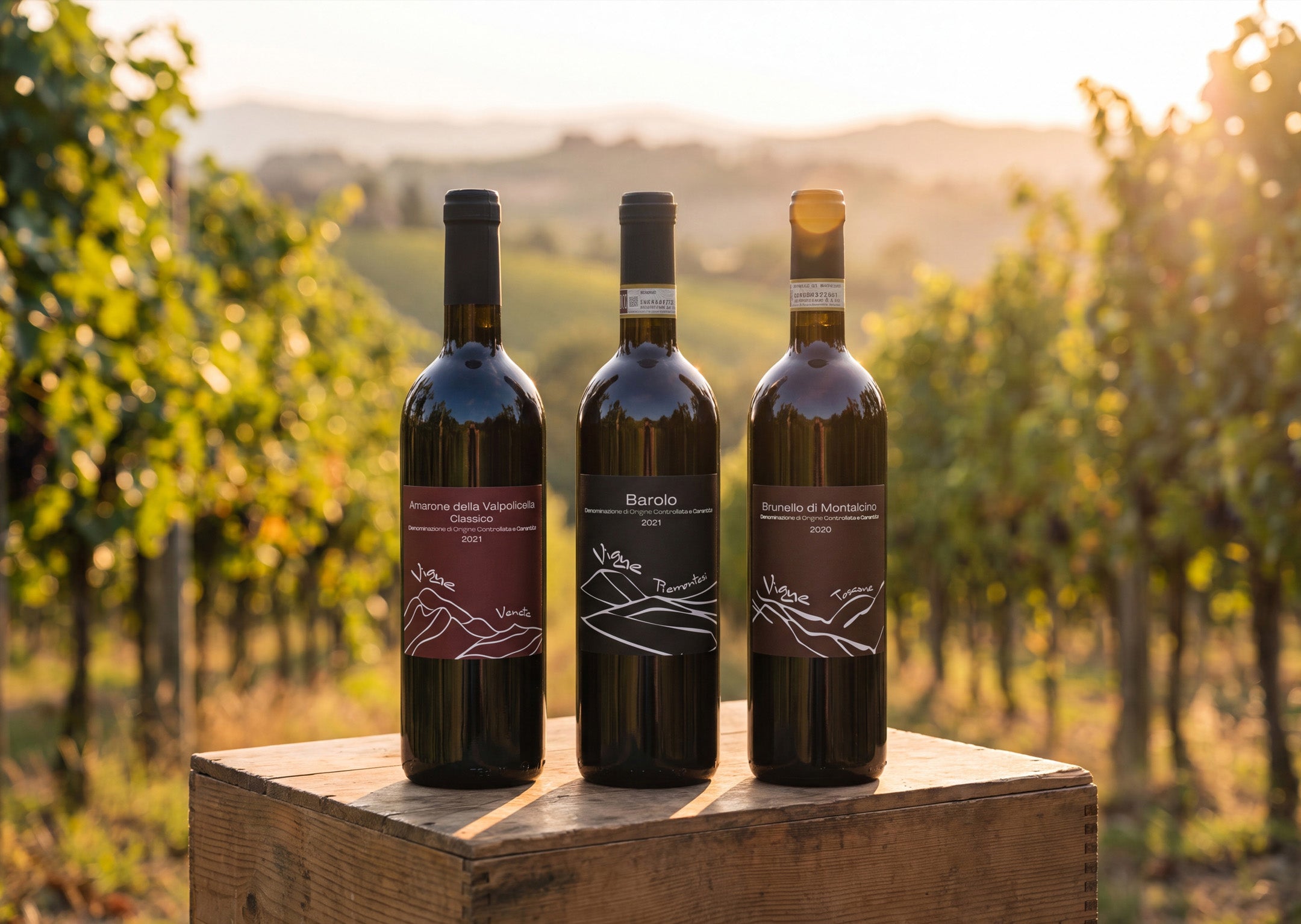 Vigne d'Italia