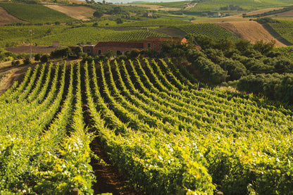 Xperience Tasca d'Almerita "Sallier de la Tour"