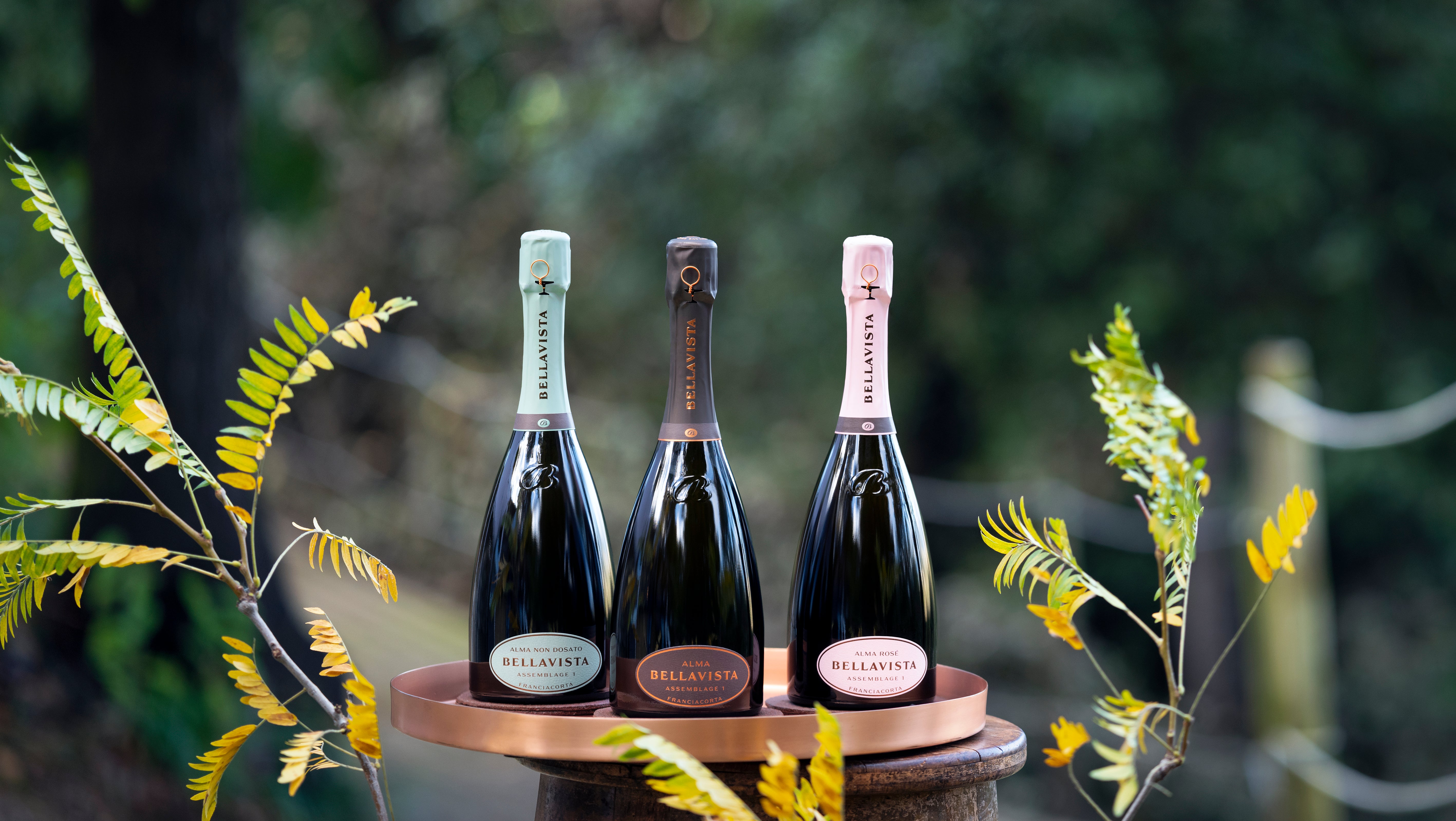 Bellavista: The Art of Franciacorta