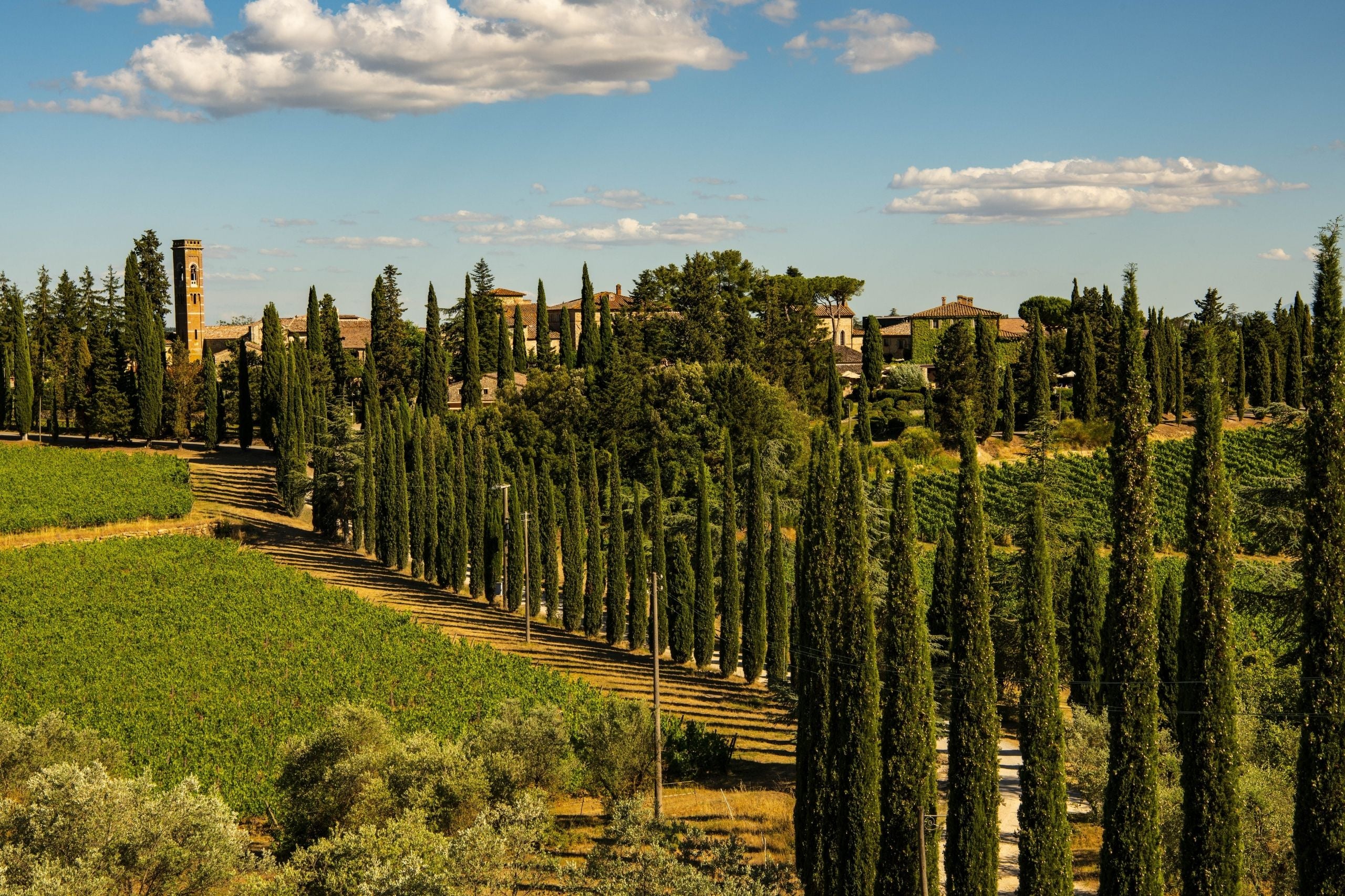 San Felice: A Tuscan Original