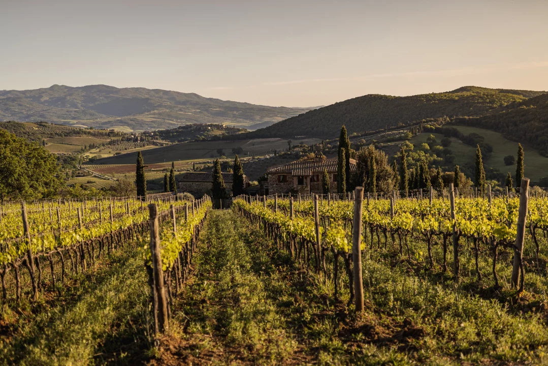 San Polo – Brunello is Beauty
