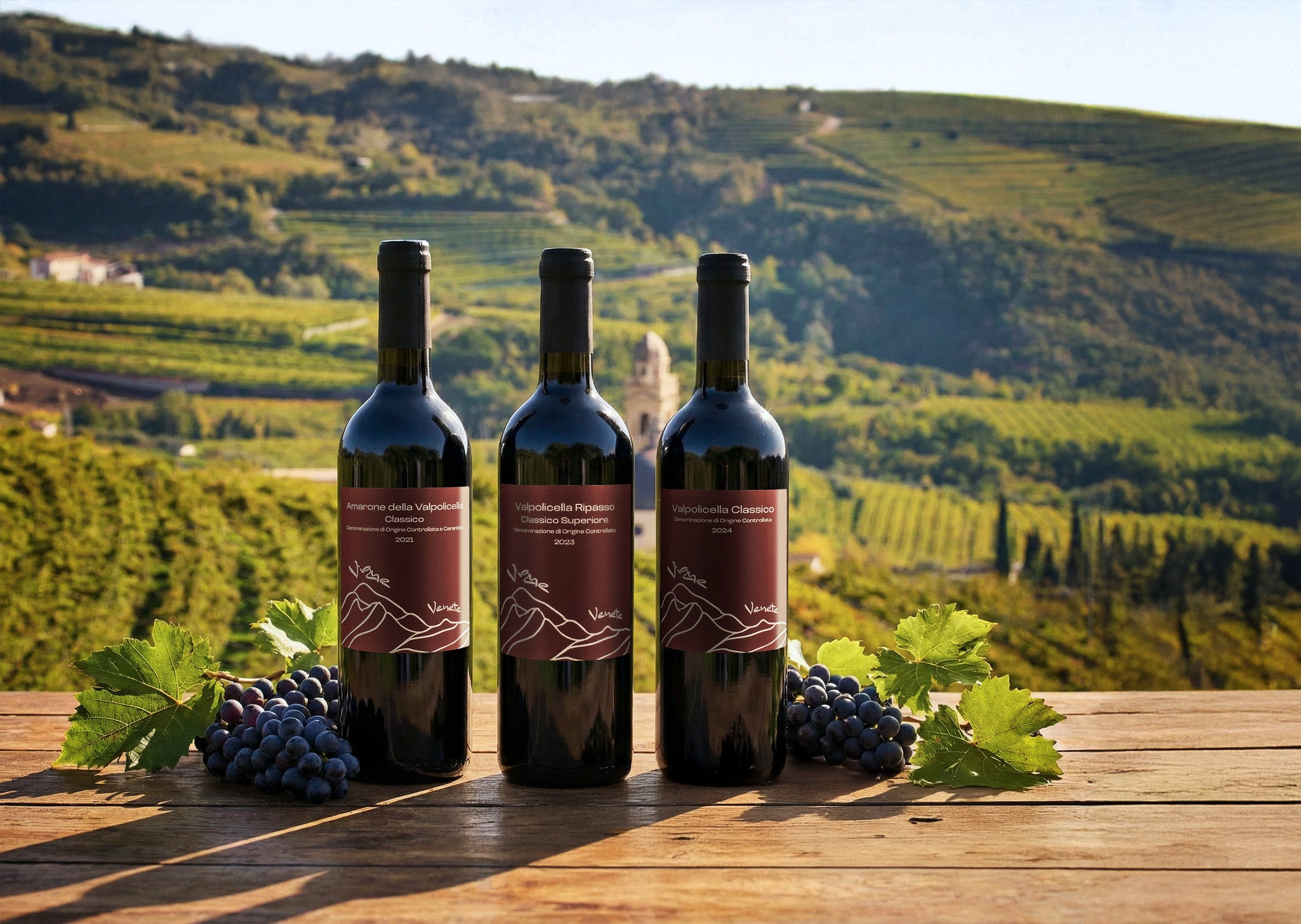 Vigne Venete: Valpolicella Excellence