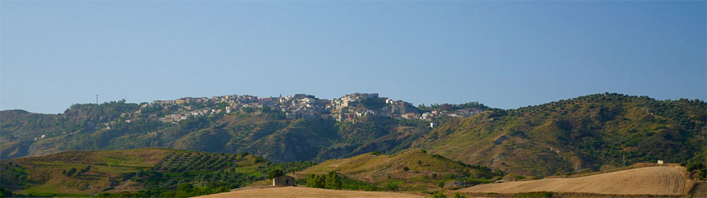 A vita