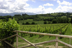 Adanti