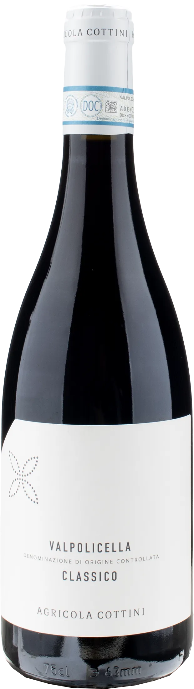 Agricola Cottini Valpolicella Classico 2023