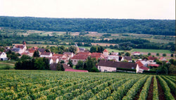 Alain Mercier et Fils