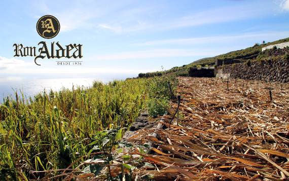 Aldea