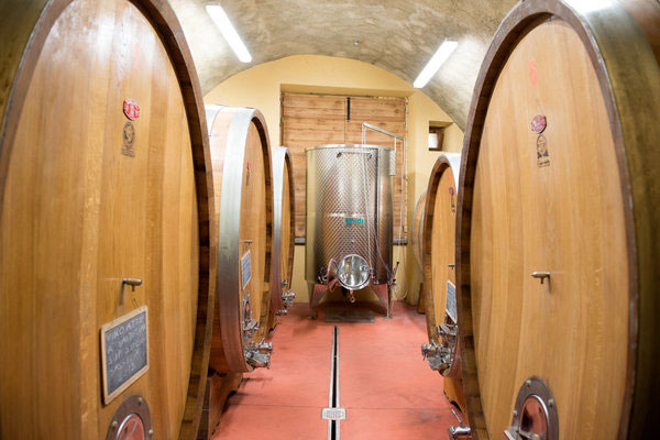 Alfio Mozzi Azienda Agricola