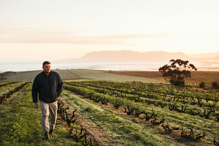 Altheit Vineyards