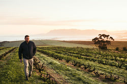 Altheit Vineyards