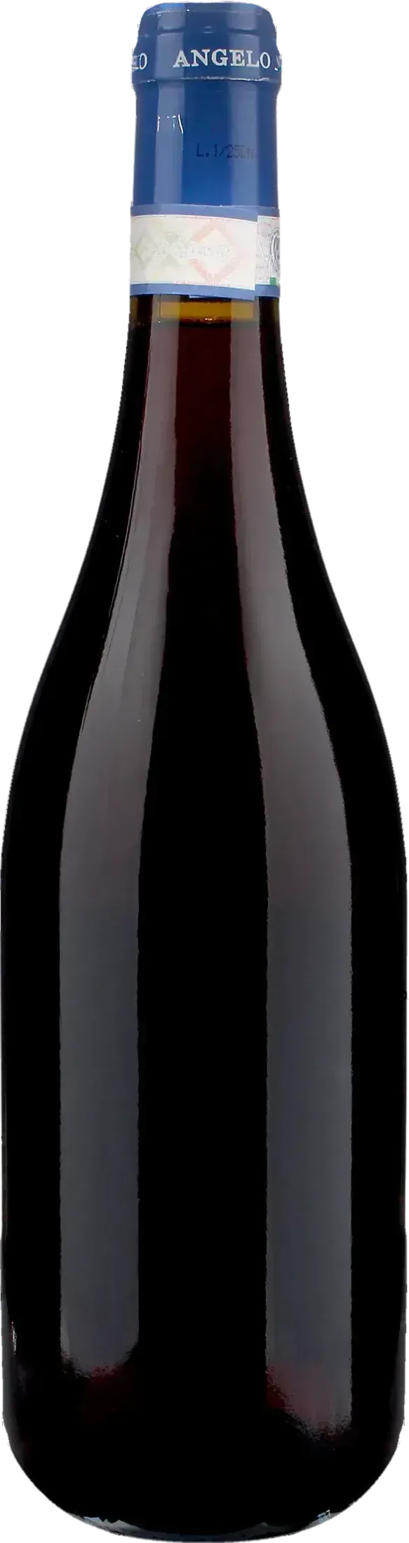 Angelo Negro Barbera d'Alba Dina 2025