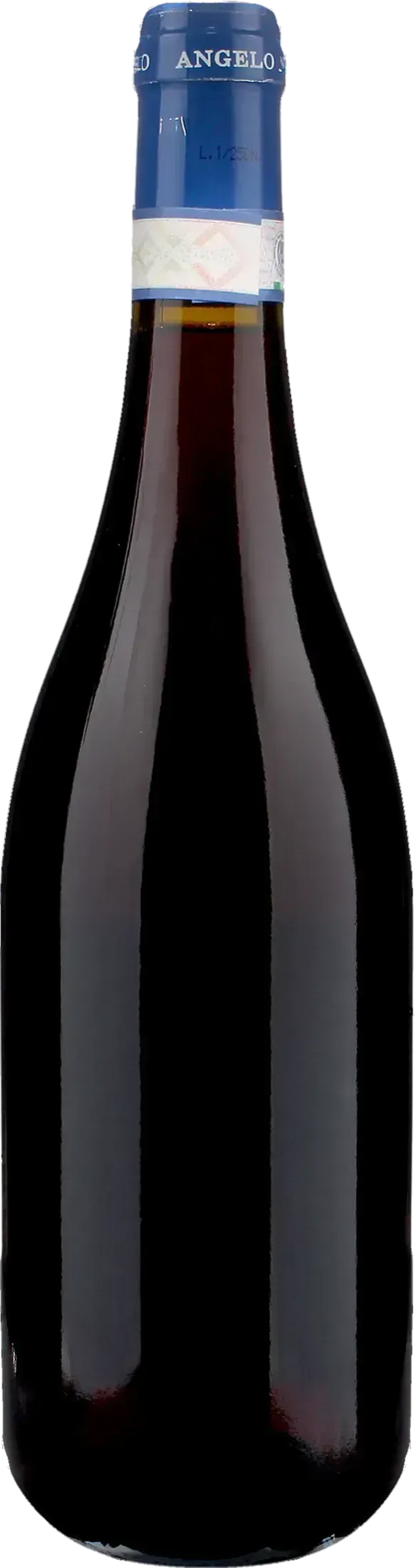 Angelo Negro Barbera d'Alba Dina 2025
