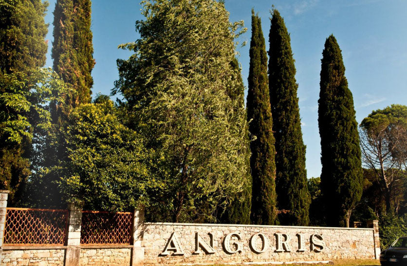 Angoris