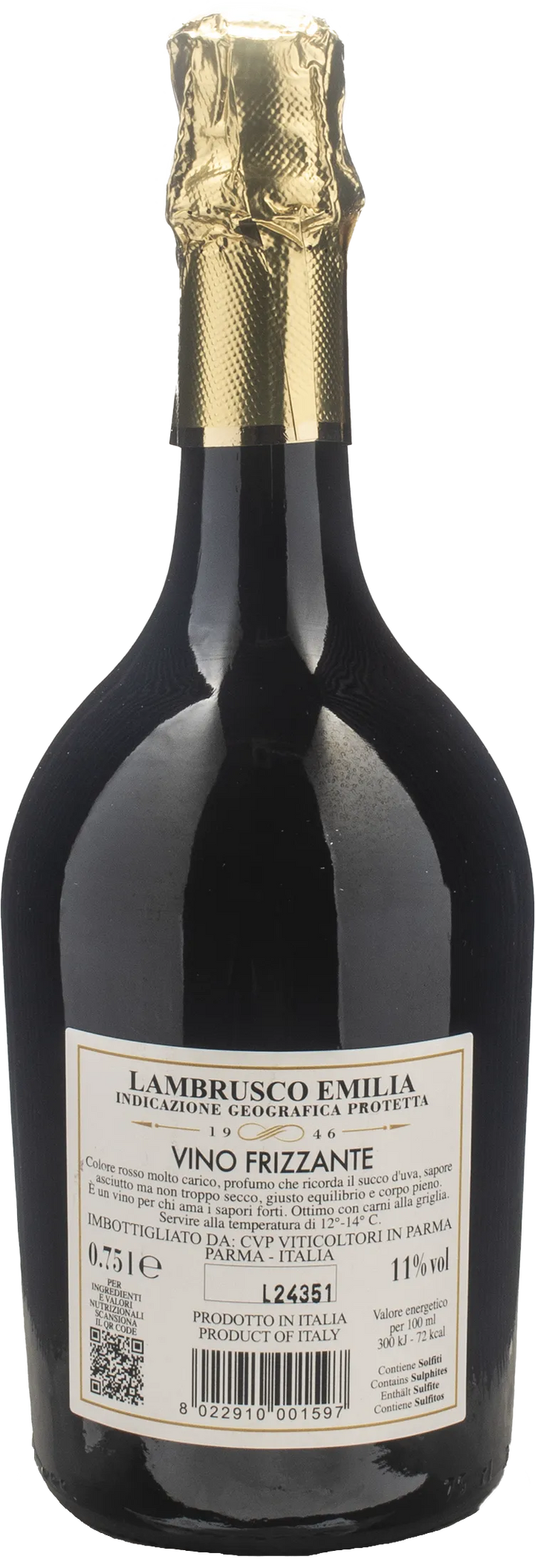 Antica Cantina Parmigiana Lambrusco Secco Nero Notte