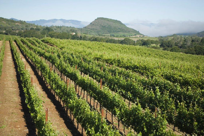 Antica Napa Valley (Antinori)
