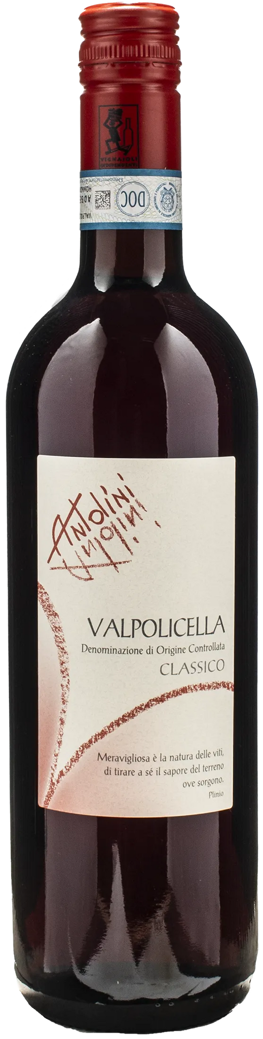 Antolini Valpolicella Classico 2023