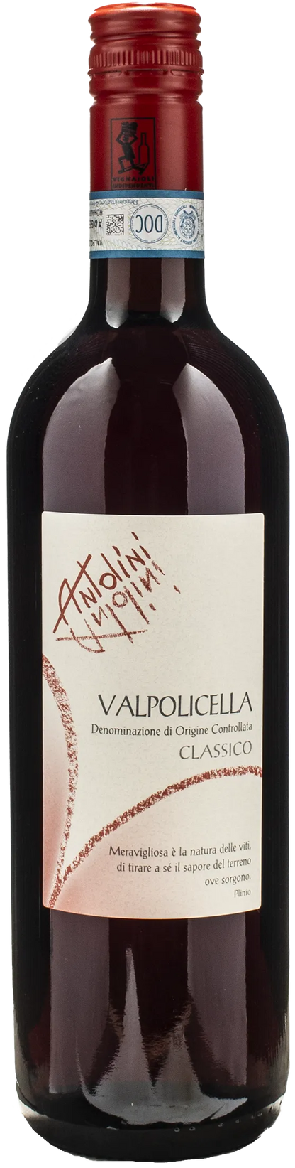 Antolini Valpolicella Classico 2023