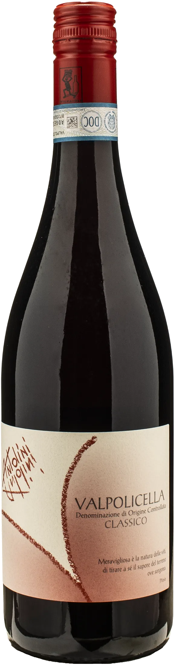 Antolini Valpolicella Classico 2024
