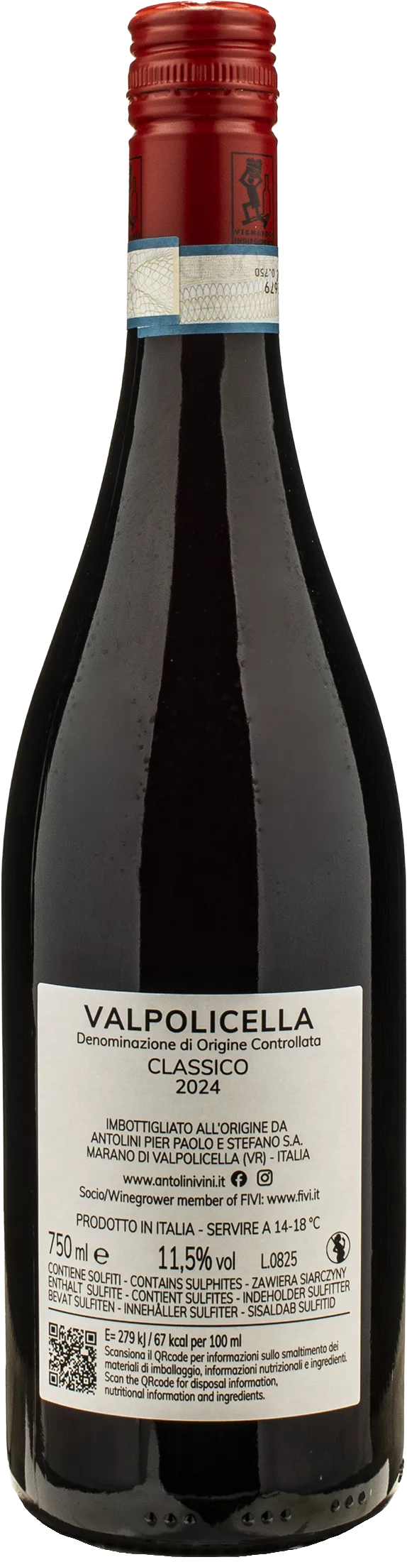 Antolini Valpolicella Classico 2024