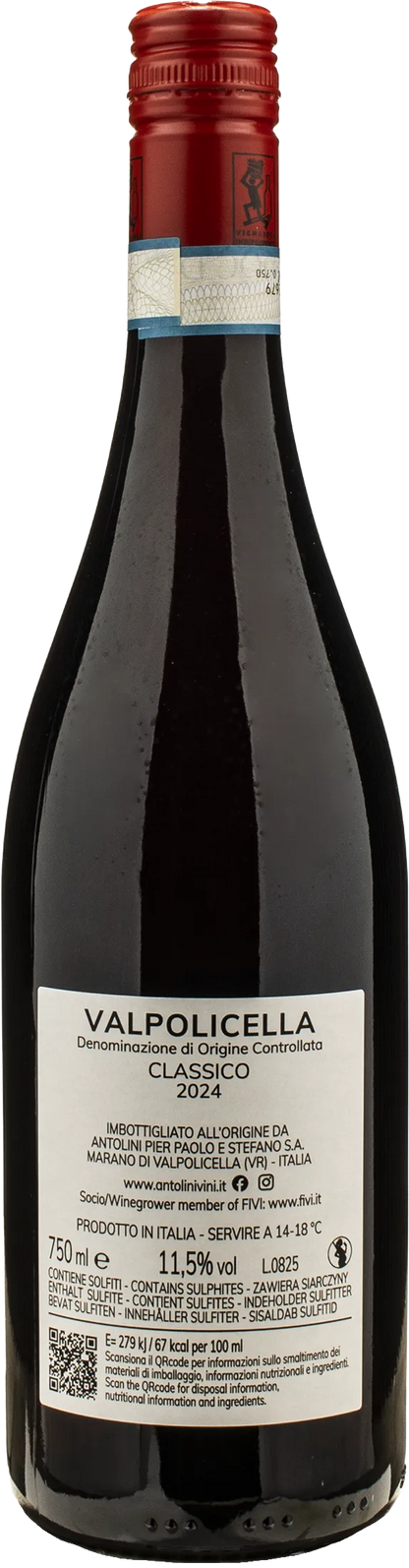 Antolini Valpolicella Classico 2024