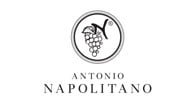 Antonio Napolitano Azienda Agricola logo