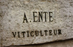Arnaud Ente