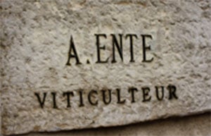 Arnaud Ente