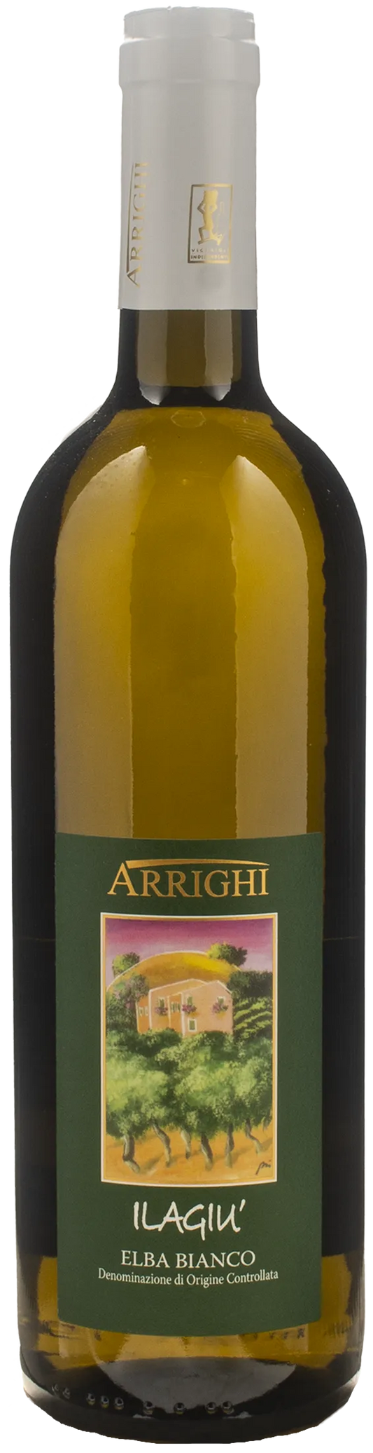 Arrighi Elba Bianco Ilagiu 2024