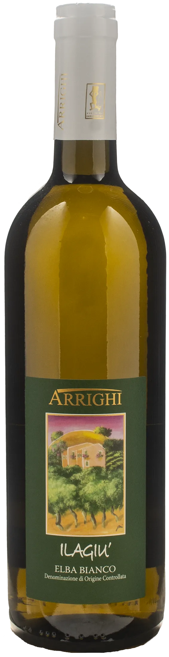 Arrighi Elba Bianco Ilagiu 2024