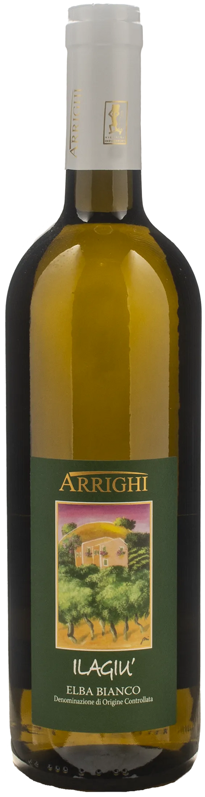 Arrighi Elba Bianco Ilagiu 2024
