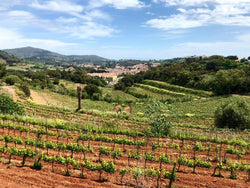 Arrighi