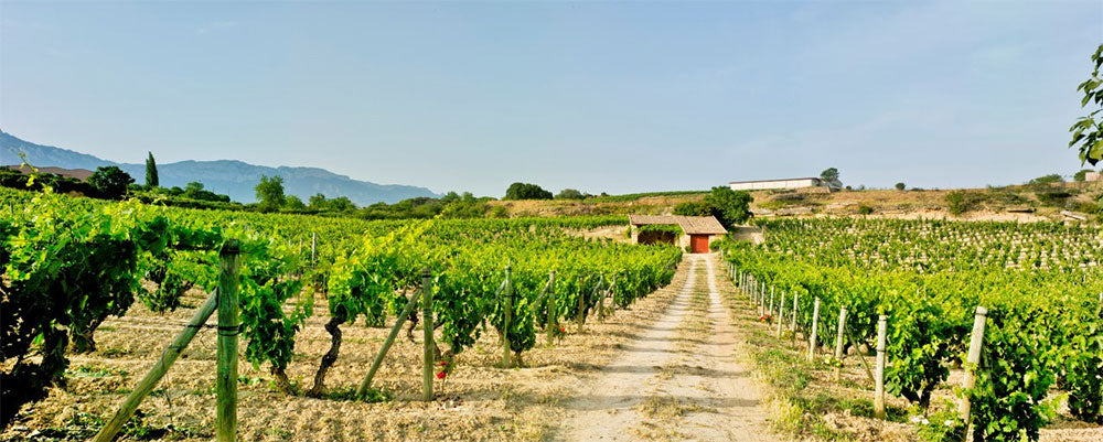 Artadi