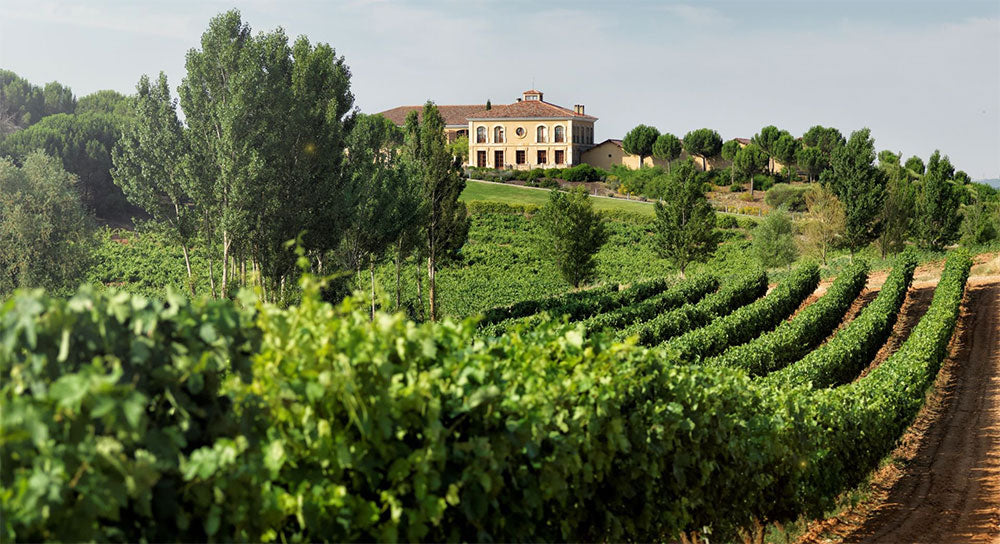 Aster (La Rioja Alta)