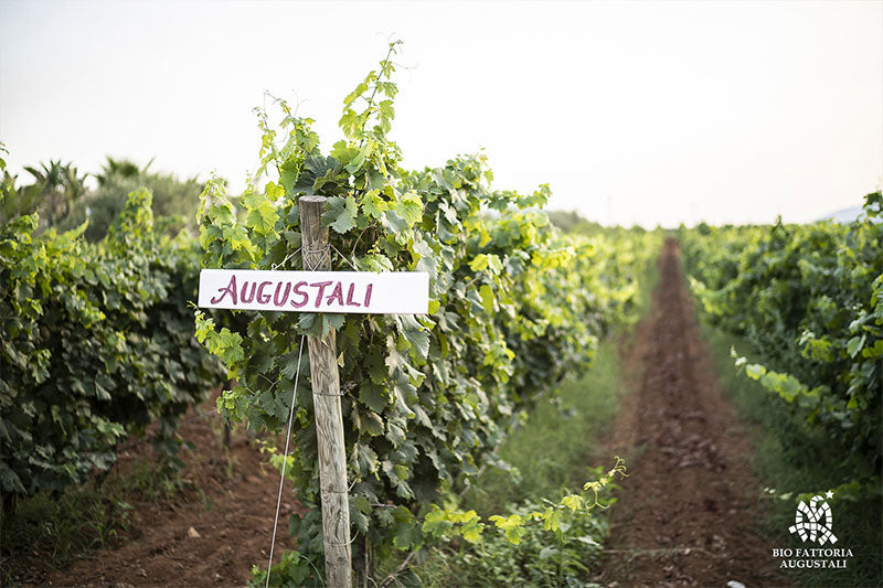 Augustali