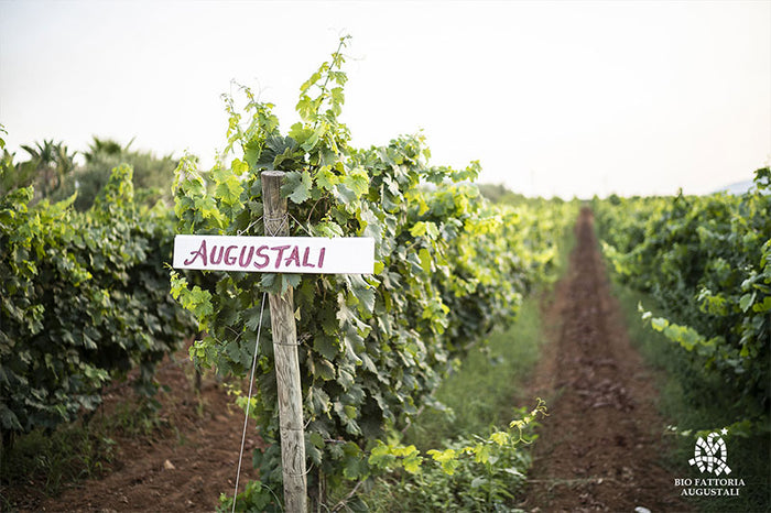 Augustali