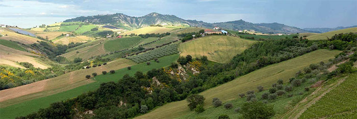 Ausonia