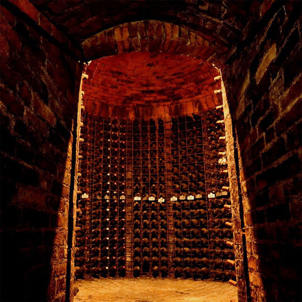 Avignonesi