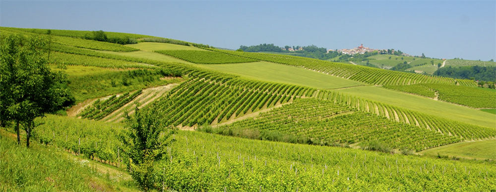 Azienda Agricola Accornero & Figli