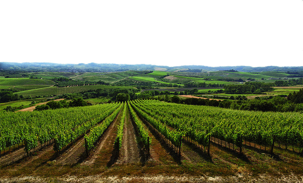 Badia di Morrona