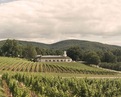 Barboursville