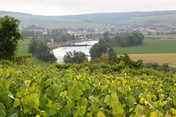 Baron Albert