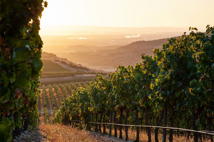 Baron de Ley Rioja