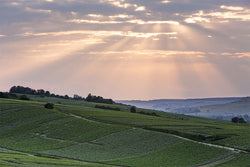 Beaumont des Crayeres