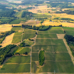 Beaux Frères