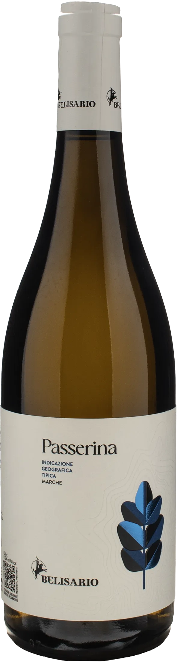 Belisario Passerina 2024