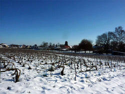 Benoit Dinvaut Champagne