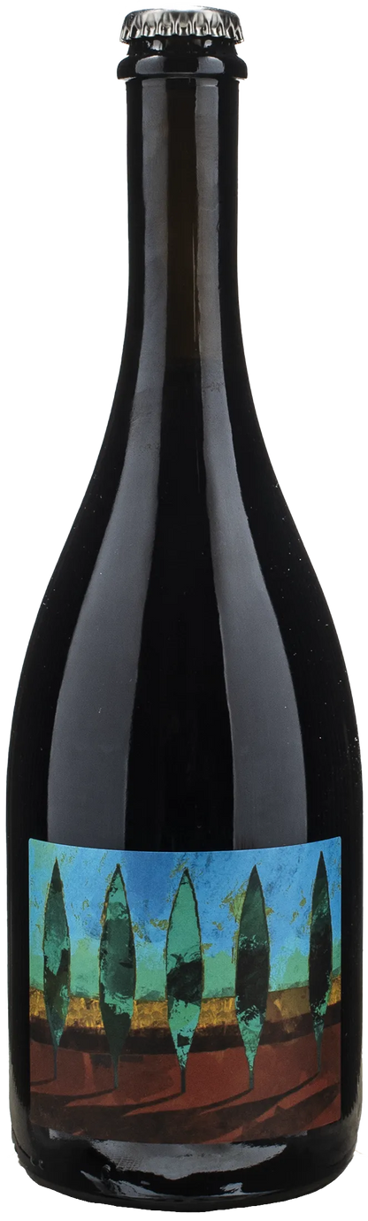 Bergianti Rosso Rifermentato No Autoclave 2022