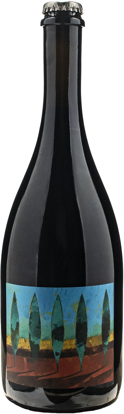 Bergianti Rosso Rifermentato No Autoclave 2023
